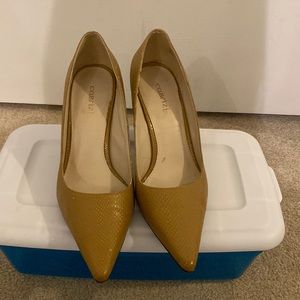 Camel pumps